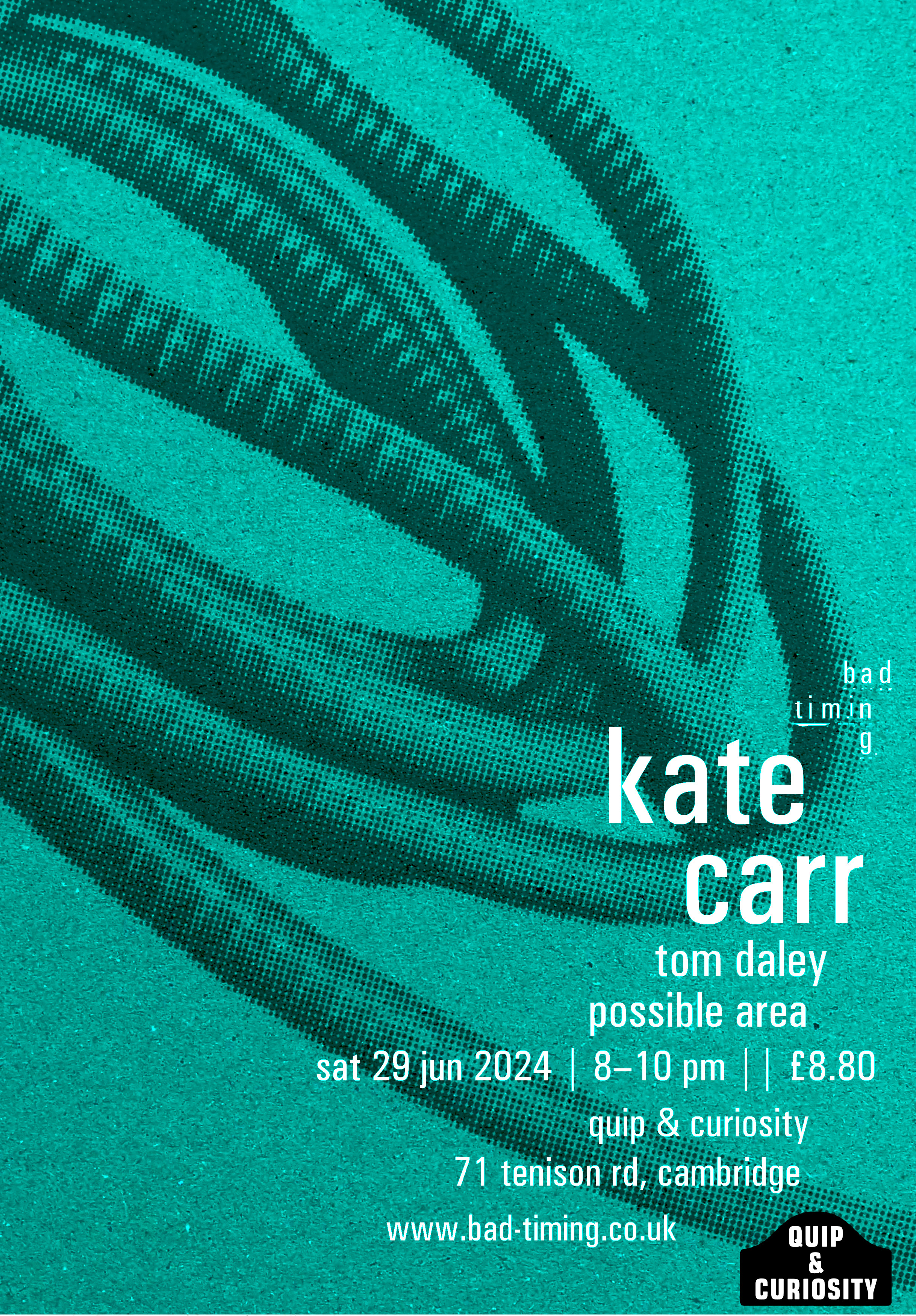 bad timing kate carr poster